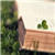 黄倩远